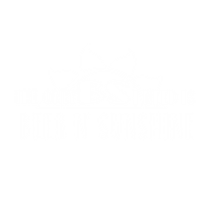 The Only BS I Need Beer N' Sunshine, New