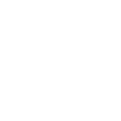 Alcohol First Then Relatives - Roadkill T Shirts