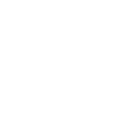 What doesn't kill you makes you stronger Except for bears