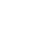 Common Sense is Like Deodorant T-Shirt - Roadkill T Shirts