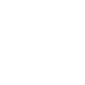 Best Dog Mom Ever - Roadkill T Shirts