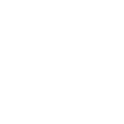 I Was Told There Would Be More Rioting - Roadkill T Shirts