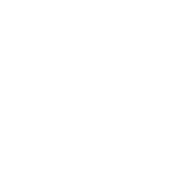 I Only Do Butt Stuff At The Gym - Roadkill T Shirts