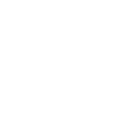 I Am Older Than The Internet - Roadkill T Shirts