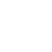Shopping Is My Cardio - Roadkill T Shirts