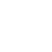 Are These People Really My Relatives T-Shirt - Roadkill T Shirts