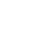 I Wonder If Tacos Thinks About Me Too - Roadkill T Shirts