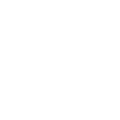 I Probably Like Your Dog Better - Roadkill T Shirts