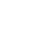 I Like Golf My Dog and Maybe Three People - Roadkill T Shirts