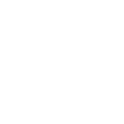 RoadKill T-Shirts - When Did I Get So Old T-Shirt