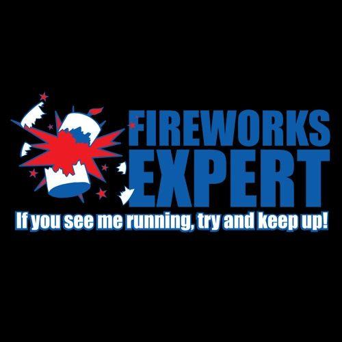 Fireworks Expert If You See Me Running T-Shirt - Bad Idea T-shirts