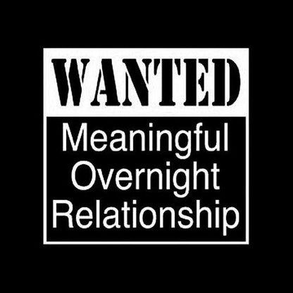 Wanted Meaningful Overnight Relationship T-Shirt - Bad Idea T-shirts