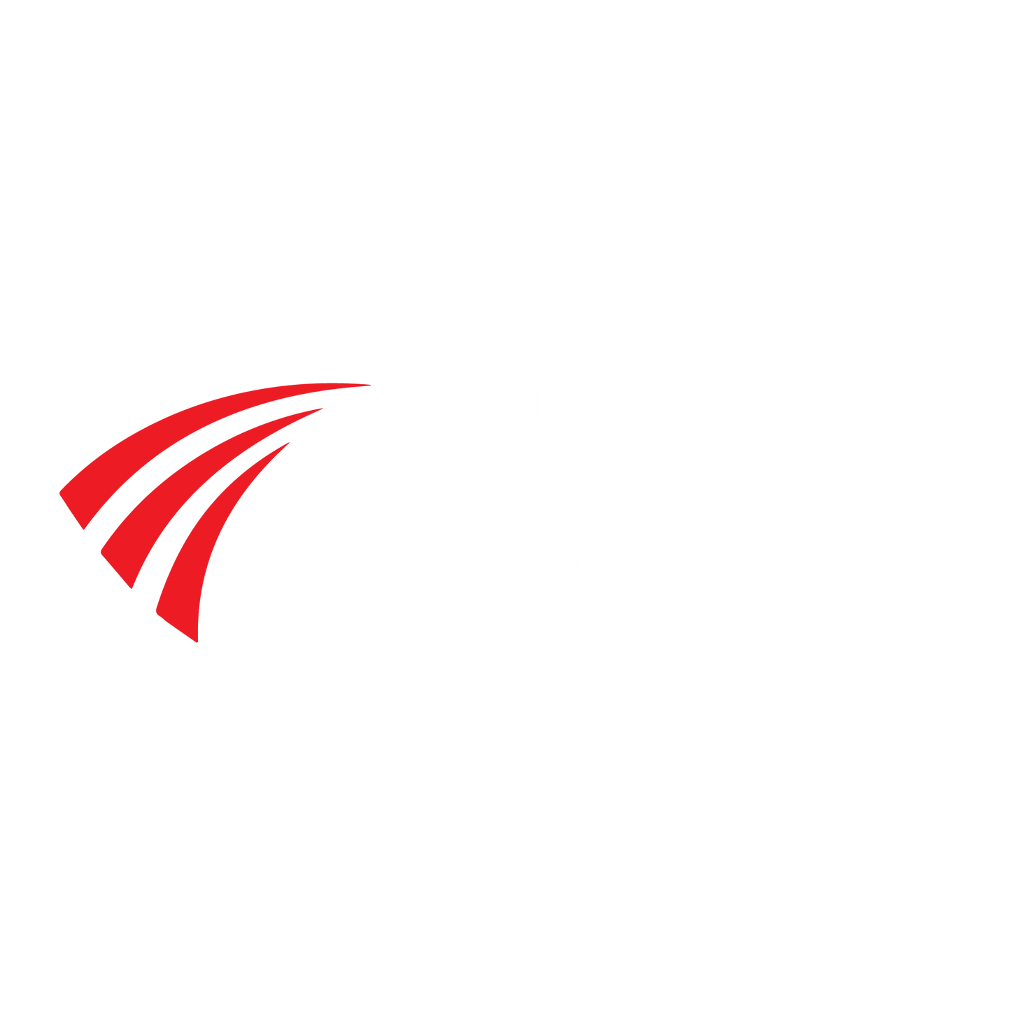 Partnership For An Idiot Free America, New