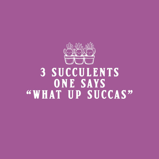 3 Succulents One Says "What Up Succas" Tee
