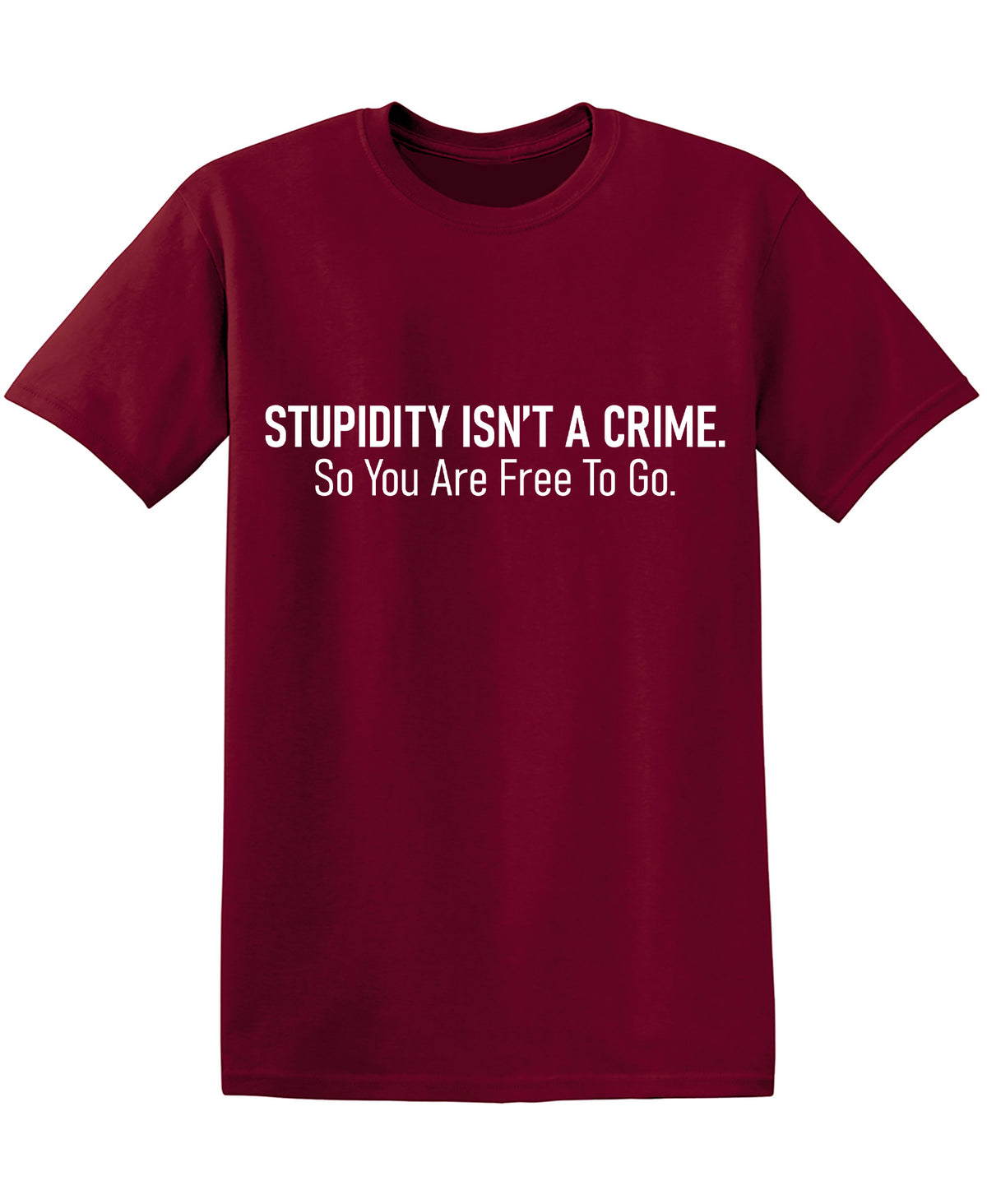 Stupidity isnt a Crime Funny Tee