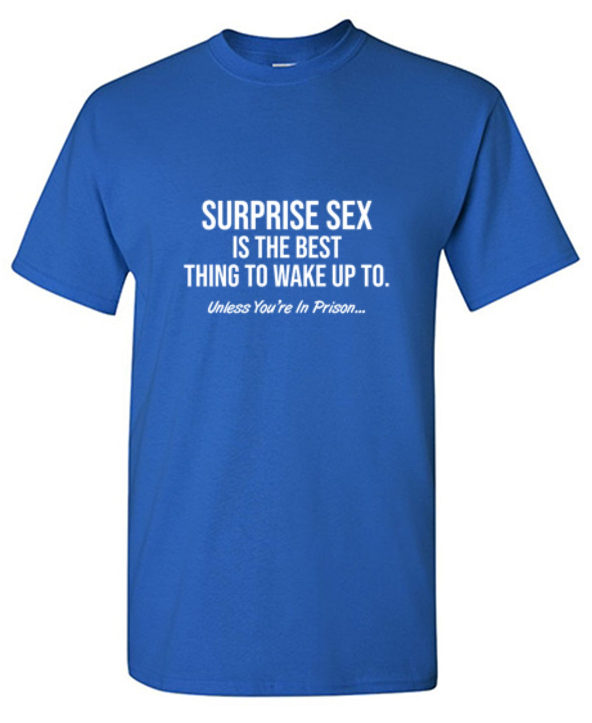 Surprise Sex Is The Best Thing To Wake Up To. Unless You're In Prison - Roadkill T Shirts