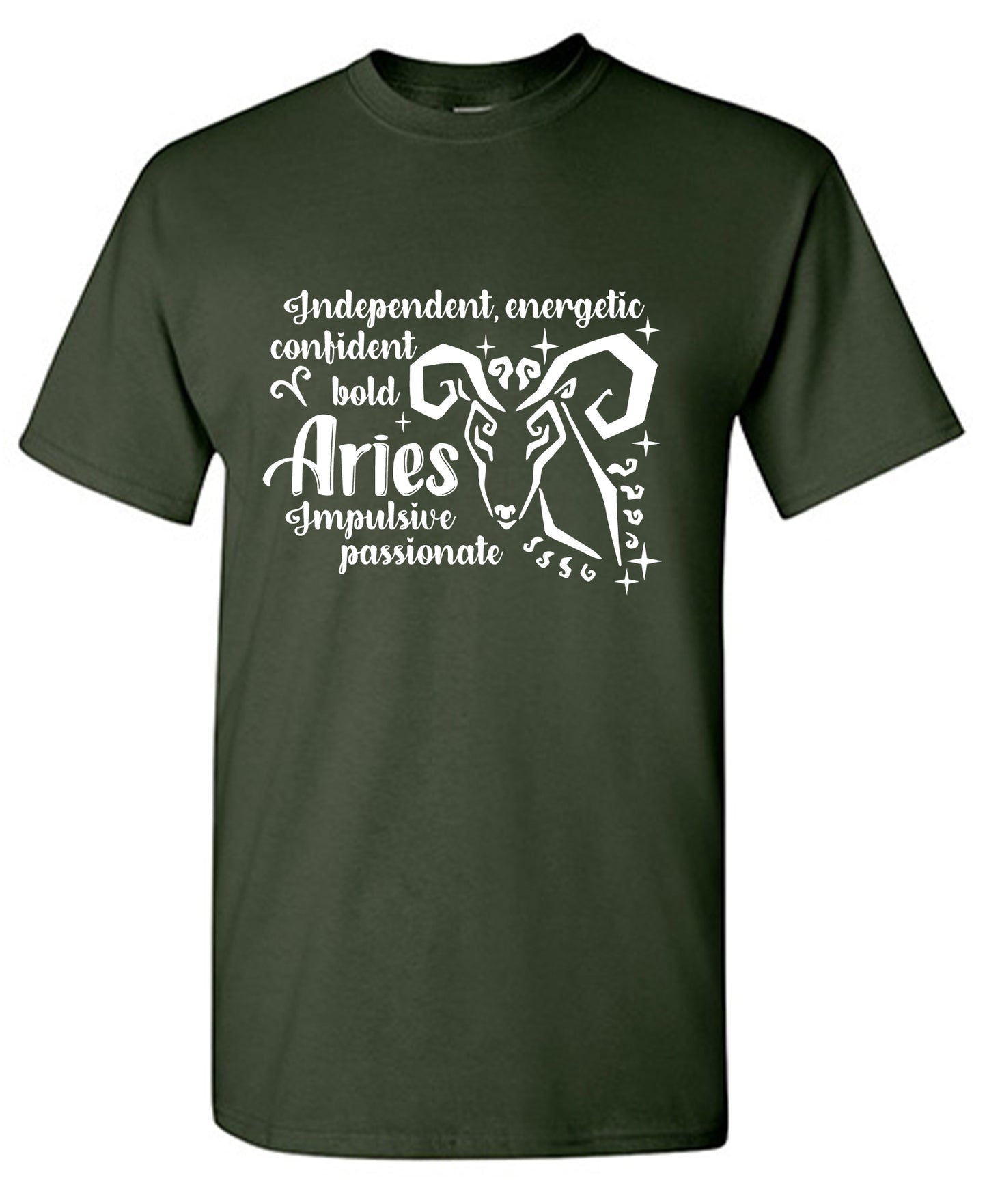 ARIES Funny Shirts