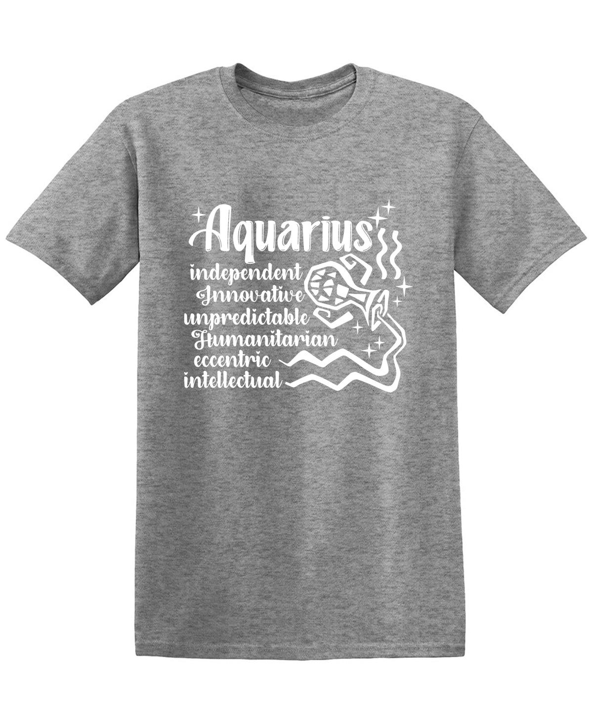 AQUARIUS Funny Tee