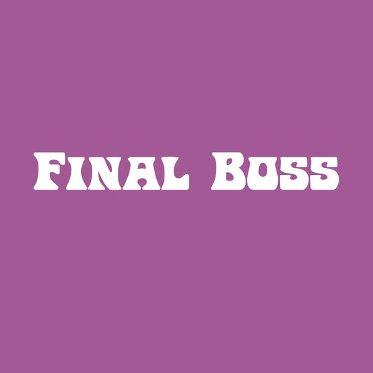 Funny T-Shirts design "Final Boss tee"