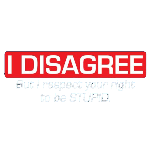 I Disagree But I Respect Your Right To Be T-Shirt