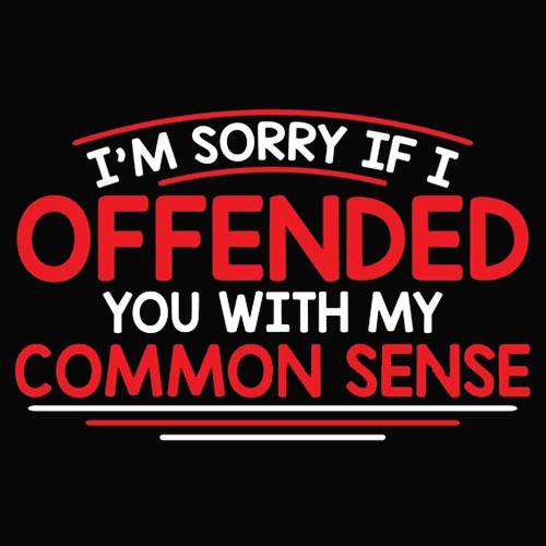 I'm Sorry If I Offended You With My T-Shirt - Bad Idea T-shirts