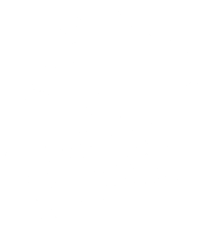 Thanksgiving Cook