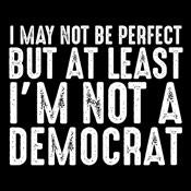 I May Not be Perfect But At Least I'm Not a Democrat - Roadkill T Shirts