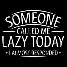 Someone Called Me Lazy Today I Almost Responded - Roadkill T Shirts