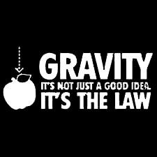 Gravity It's Not Just A Good Idea It's The Law - Roadkill T Shirts