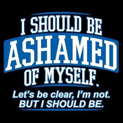 I Should Be Ashamed Of Myself Let's Be Clear T-Shirt - Bad Idea T-shirts