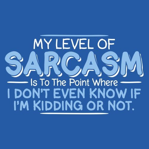 My Level Of Sarcasm Is To The Point T-Shirt - Bad Idea T-shirts