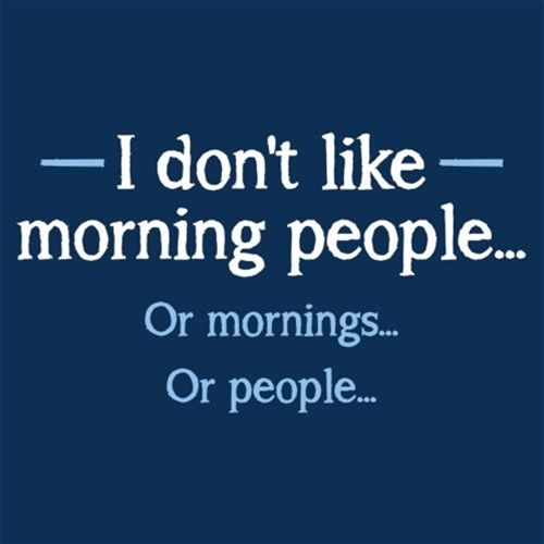 I Don't Like Morning People Or Mornings Or People - Roadkill T Shirts