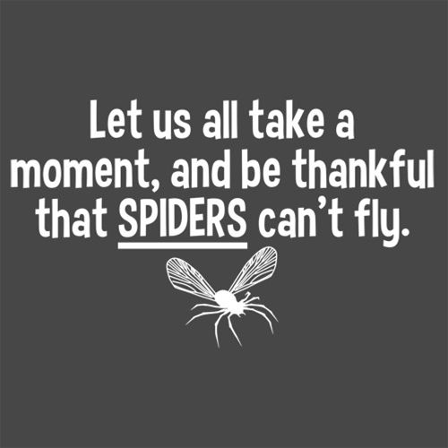 All Take A Moment And Be Thankful That Spiders Can't Fly - Roadkill T Shirts