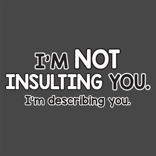 I'm Not Insulting You I'm Describing You - Roadkill T Shirts