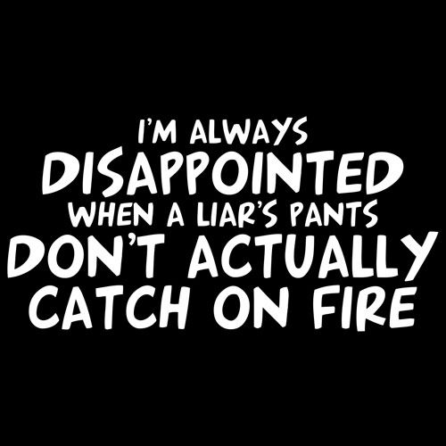 I'm Disappointed When a Liar's Pants Don't Catch On Fire T-Shirt
