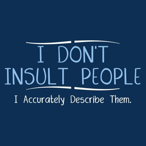 I Don't Insult People I Accurately T-Shirt - Bad Idea T-shirts