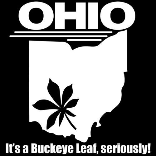 Ohio It's A Buckeye Leaf Seriously T-Shirts - Bad Idea T-Shirts