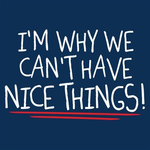 I'm Why We Can't Have Nice Things - Roadkill T Shirts
