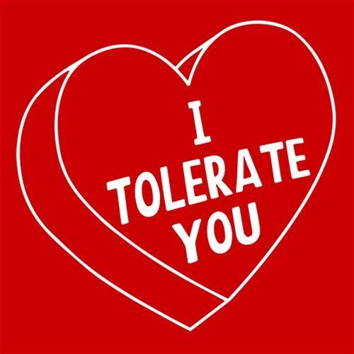 I Tolerate You T-Shirt for Valentine's Day | Bad Idea Tees