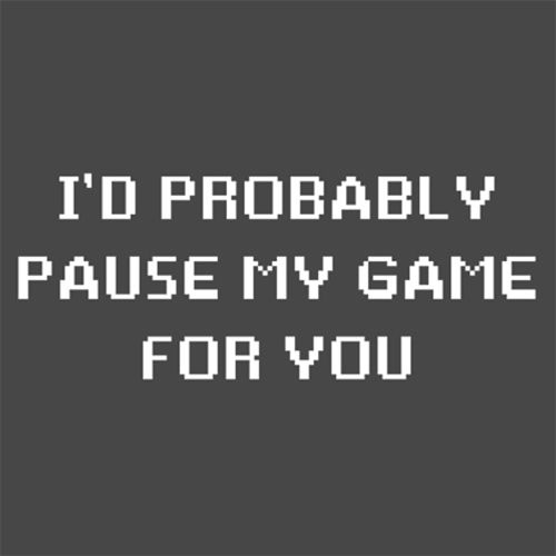 I'd Probably Pause My Game For You - Roadkill T Shirts