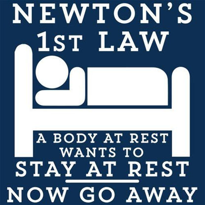 Newton's 1st Law A Body At Rest Wants To Stay At Rest. Now Go Away - Roadkill T Shirts